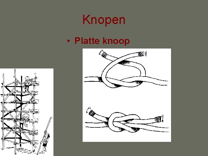 Knopen • Platte knoop 