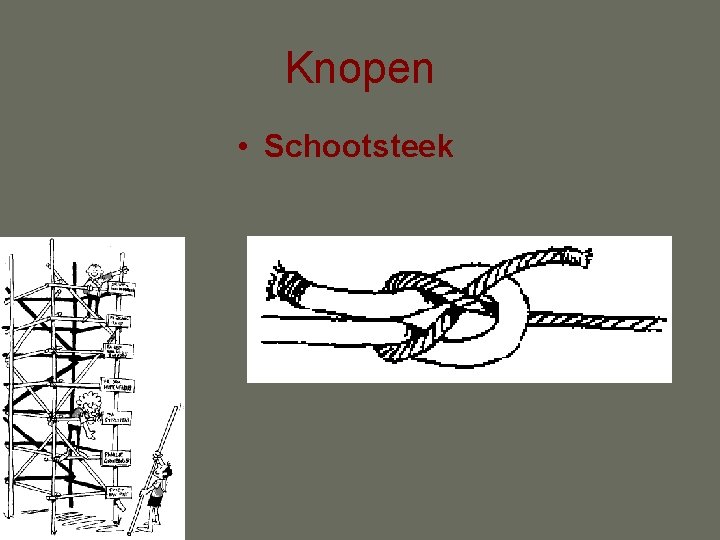 Knopen • Schootsteek 