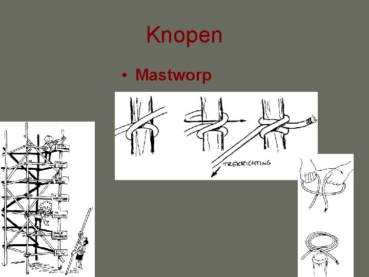 Knopen • Mastworp 