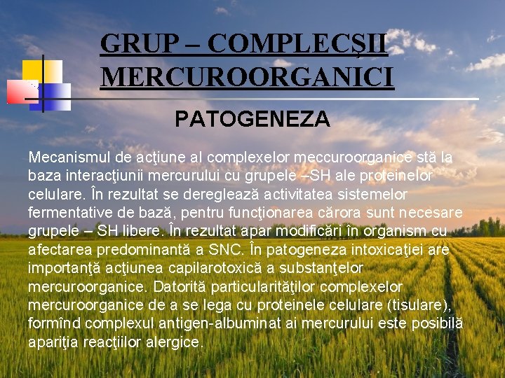 GRUP – COMPLECŞII MERCUROORGANICI PATOGENEZA Mecanismul de acţiune al complexelor meccuroorganice stă la baza