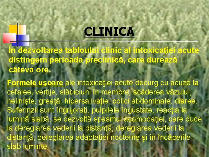 CLINICA În dezvoltarea tabloului clinic al intoxicaţiei acute distingem perioada preclinică, care durează câteva
