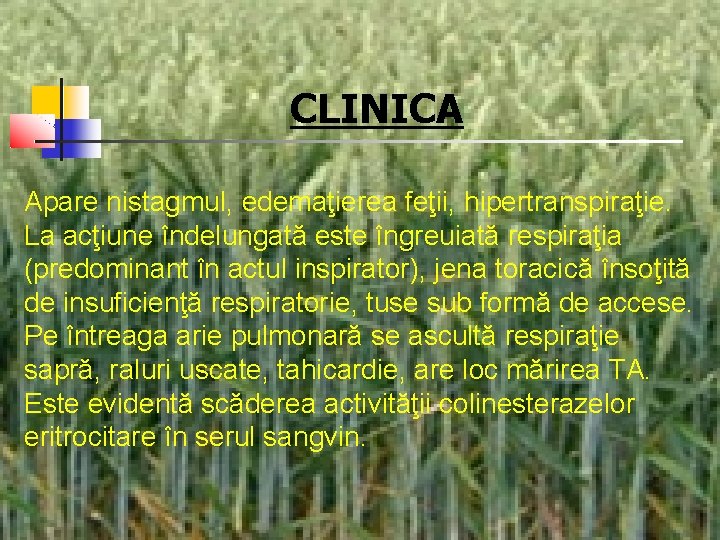 CLINICA Apare nistagmul, edemaţierea feţii, hipertranspiraţie. La acţiune îndelungată este îngreuiată respiraţia (predominant în