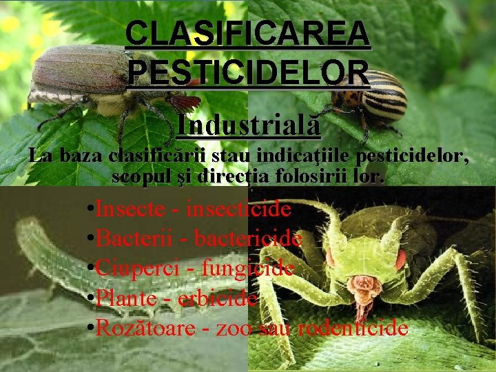 CLASIFICAREA PESTICIDELOR Industrială La baza clasificării stau indicaţiile pesticidelor, scopul şi direcţia folosirii lor.