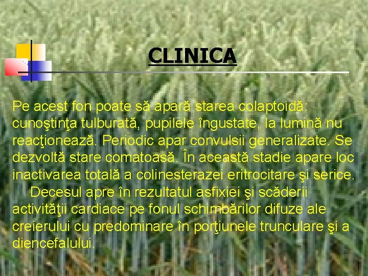 CLINICA Pe acest fon poate să apară starea colaptoidă: cunoştinţa tulburată, pupilele îngustate, la