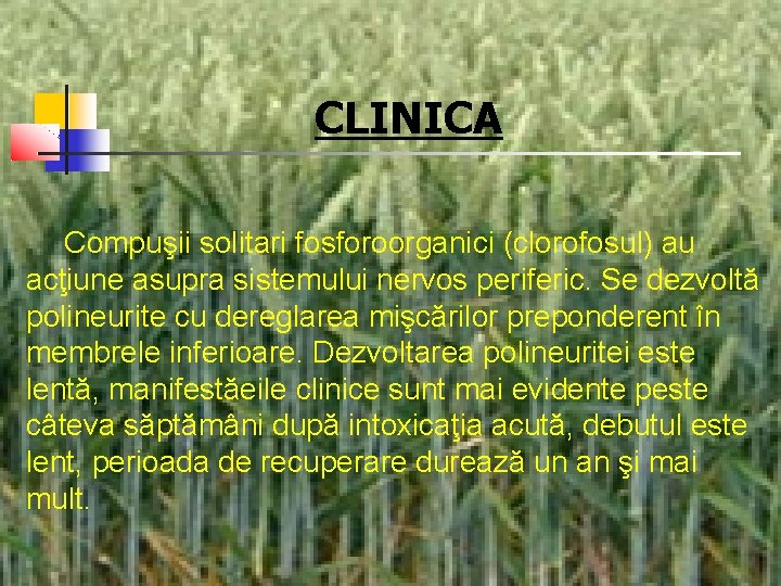 CLINICA Compuşii solitari fosforoorganici (clorofosul) au acţiune asupra sistemului nervos periferic. Se dezvoltă polineurite