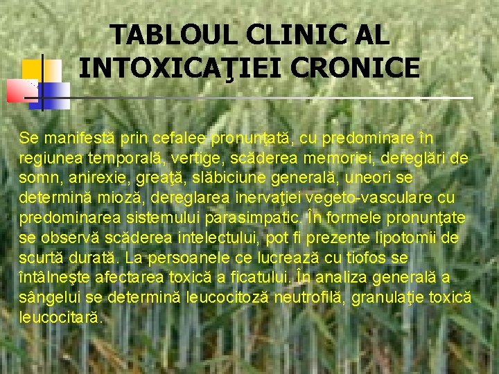 TABLOUL CLINIC AL INTOXICAŢIEI CRONICE Se manifestă prin cefalee pronunţată, cu predominare în regiunea