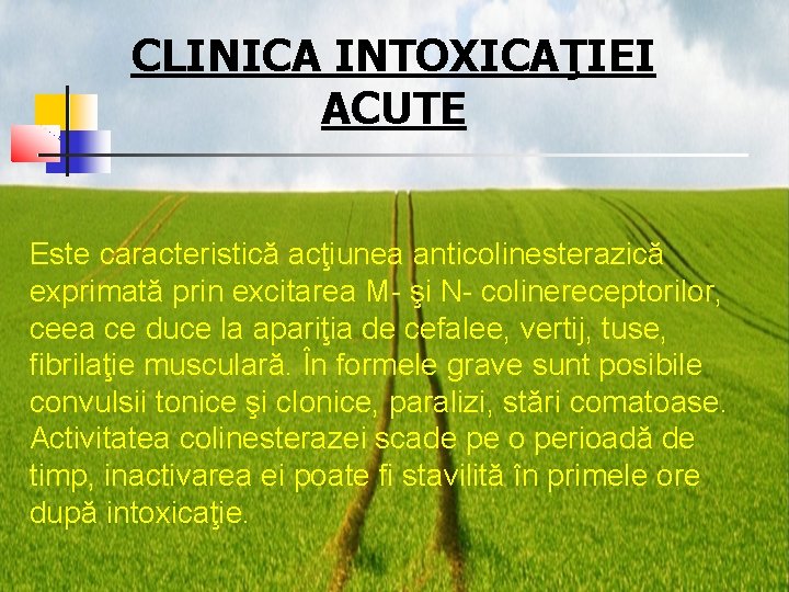CLINICA INTOXICAŢIEI ACUTE Este caracteristică acţiunea anticolinesterazică exprimată prin excitarea M- şi N- colinereceptorilor,