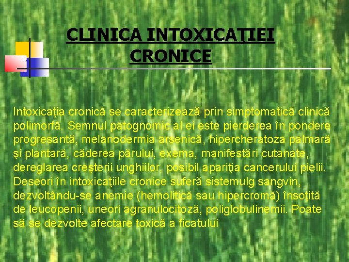 CLINICA INTOXICAŢIEI CRONICE Intoxicaţia cronică se caracterizează prin simptomatică clinică polimorfă. Semnul patognomic al