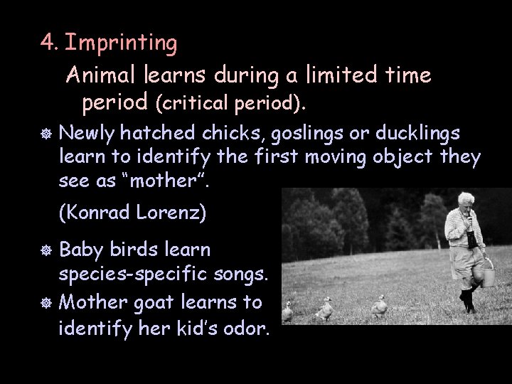 4. Imprinting Animal learns during a limited time period (critical period). ] Newly hatched