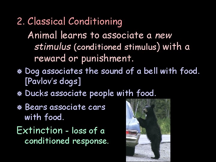 2. Classical Conditioning Animal learns to associate a new stimulus (conditioned stimulus) with a