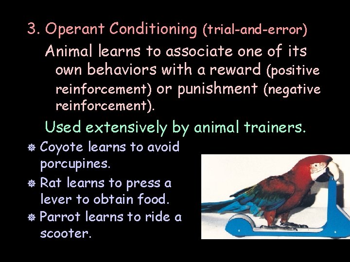 3. Operant Conditioning (trial-and-error) Animal learns to associate one of its own behaviors with