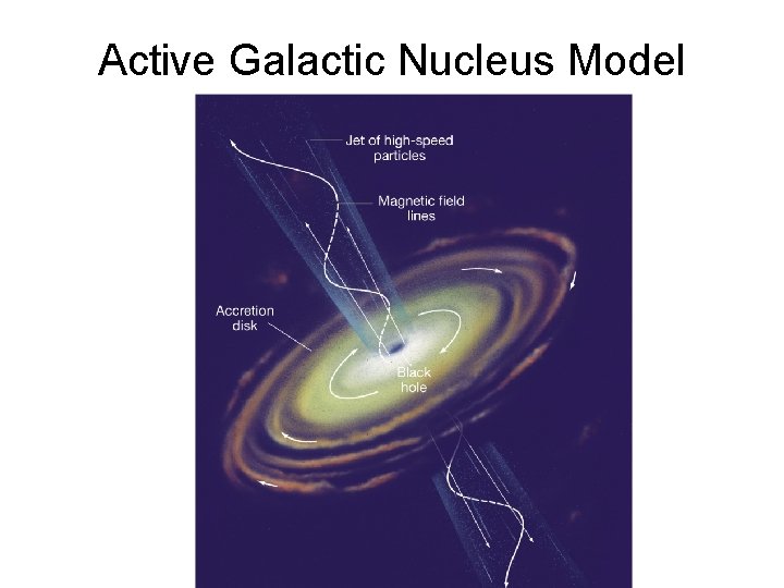 Active Galactic Nucleus Model 