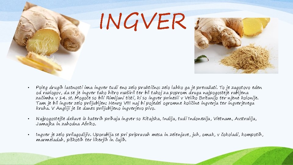 INGVER • Poleg drugih lastnosti ima ingver tudi eno zelo praktično: zelo lahko ga