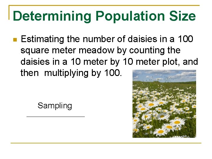 Determining Population Size Estimating the number of daisies in a 100 square meter meadow