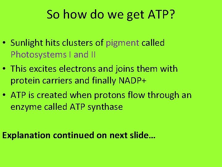 So how do we get ATP? • Sunlight hits clusters of pigment called Photosystems