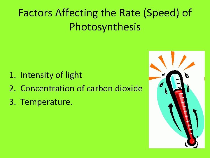 Factors Affecting the Rate (Speed) of Photosynthesis 1. Intensity of light 2. Concentration of