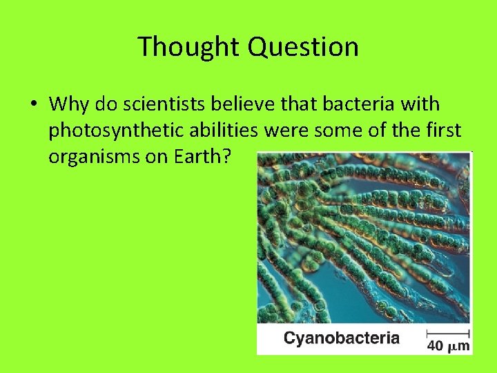 Thought Question • Why do scientists believe that bacteria with photosynthetic abilities were some