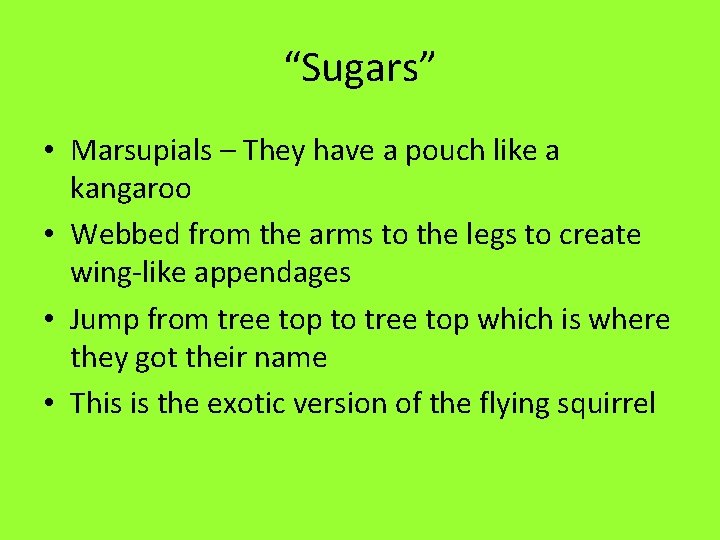 “Sugars” • Marsupials – They have a pouch like a kangaroo • Webbed from