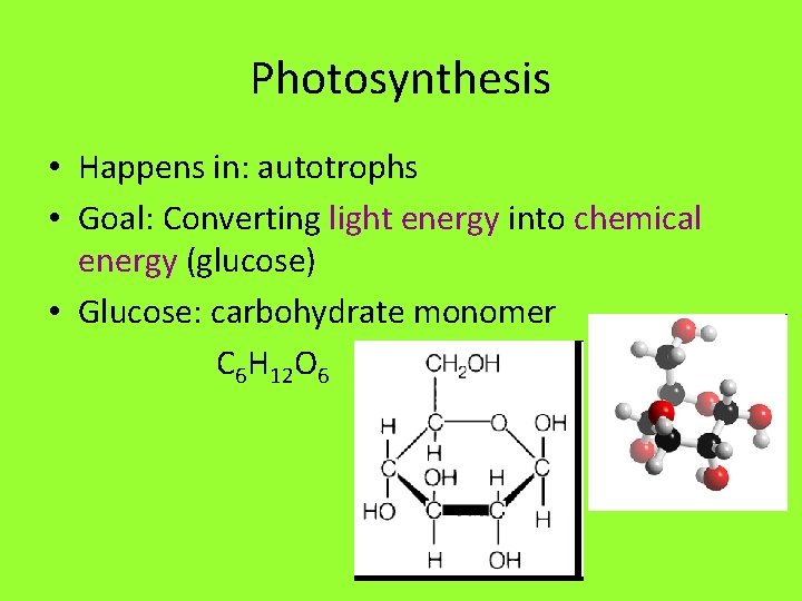 Photosynthesis • Happens in: autotrophs • Goal: Converting light energy into chemical energy (glucose)