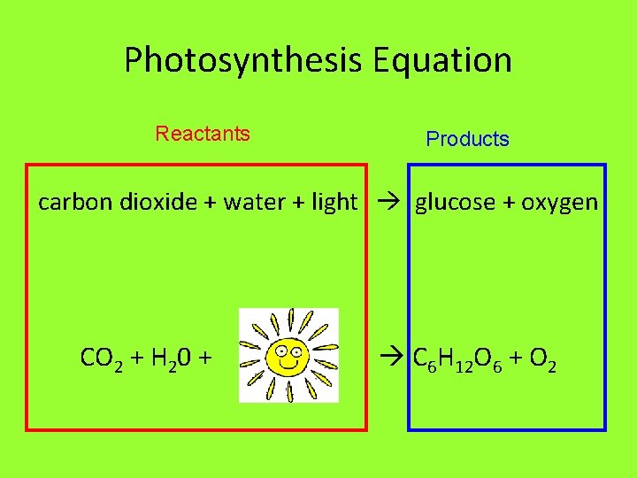 Photosynthesis Equation Reactants Products carbon dioxide + water + light glucose + oxygen CO