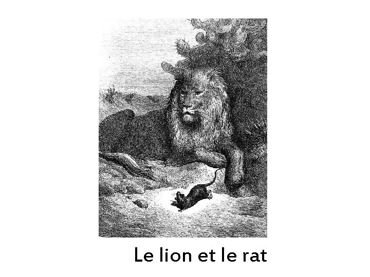 La fable Les premires fables connues sont les