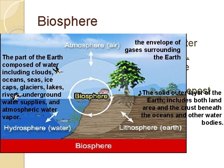 Biosphere the envelope of Earth's zone of air, soil, and water gases surrounding the