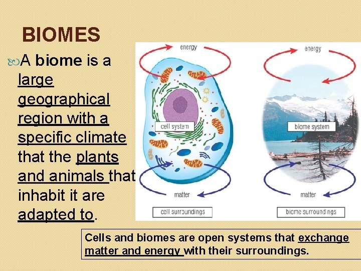 BIOMES A biome is a large geographical region with a specific climate that the