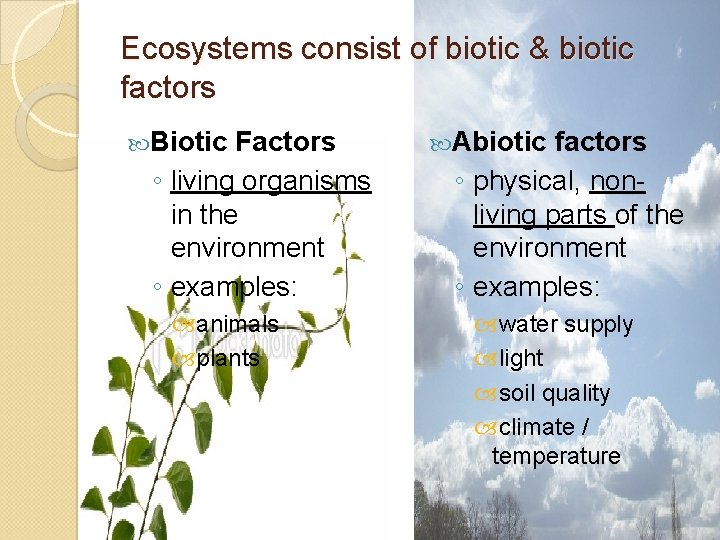 Ecosystems consist of biotic & biotic factors Biotic Factors ◦ living organisms in the