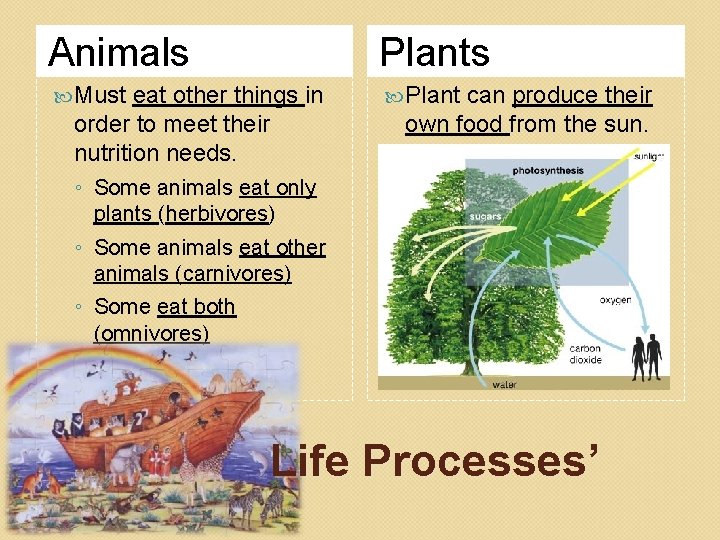 Animals Plants Must Plant eat other things in order to meet their nutrition needs.
