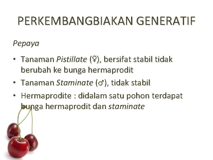 PERKEMBANGBIAKAN GENERATIF Pepaya • Tanaman Pistillate (♀), bersifat stabil tidak berubah ke bunga hermaprodit