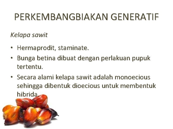 PERKEMBANGBIAKAN GENERATIF Kelapa sawit • Hermaprodit, staminate. • Bunga betina dibuat dengan perlakuan pupuk