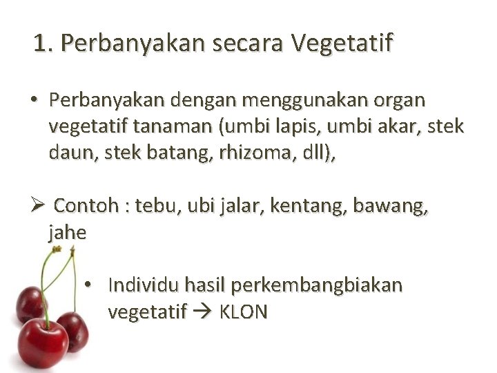 1. Perbanyakan secara Vegetatif • Perbanyakan dengan menggunakan organ vegetatif tanaman (umbi lapis, umbi
