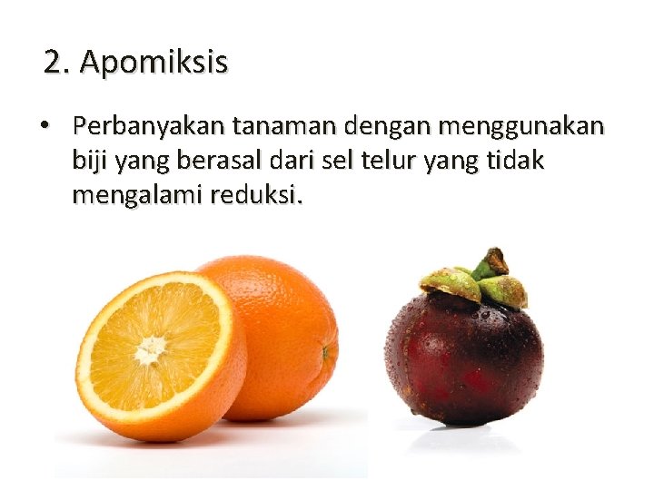 2. Apomiksis • Perbanyakan tanaman dengan menggunakan biji yang berasal dari sel telur yang