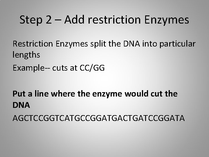 Step 2 – Add restriction Enzymes Restriction Enzymes split the DNA into particular lengths