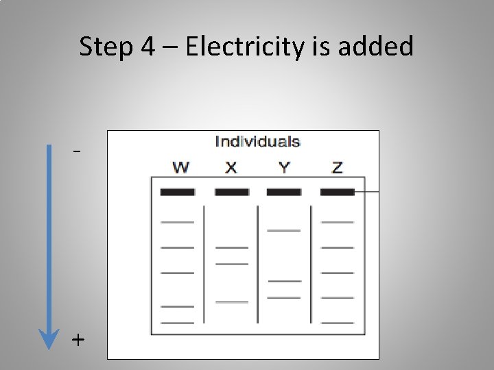 Step 4 – Electricity is added - + 