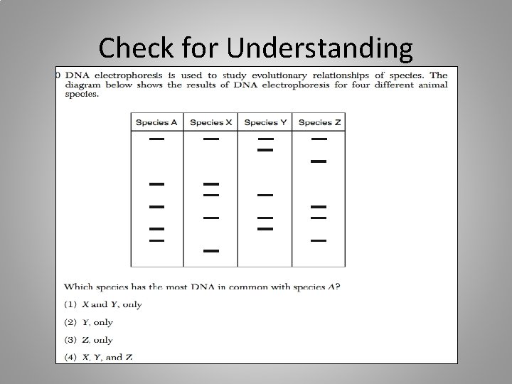 Check for Understanding 