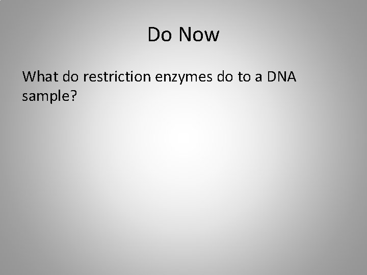 Do Now What do restriction enzymes do to a DNA sample? 