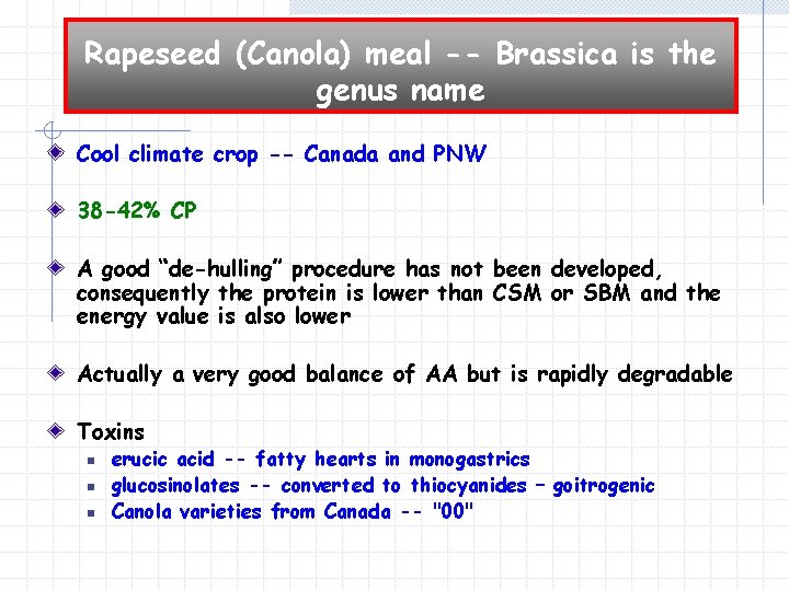 Rapeseed (Canola) meal -- Brassica is the genus name Cool climate crop -- Canada