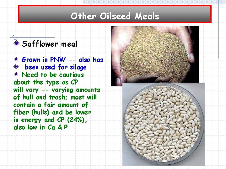 Other Oilseed Meals Safflower meal Grown in PNW -- also has been used for