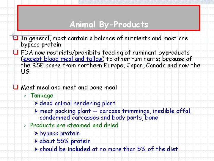 Animal By-Products q In general, most contain a balance of nutrients and most are