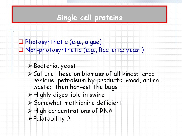 Single cell proteins q Photosynthetic (e. g. , algae) q Non-photosynthetic (e. g. ,