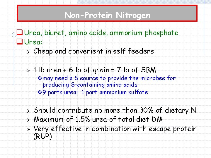 Non-Protein Nitrogen q Urea, biuret, amino acids, ammonium phosphate q Urea: Ø Cheap and