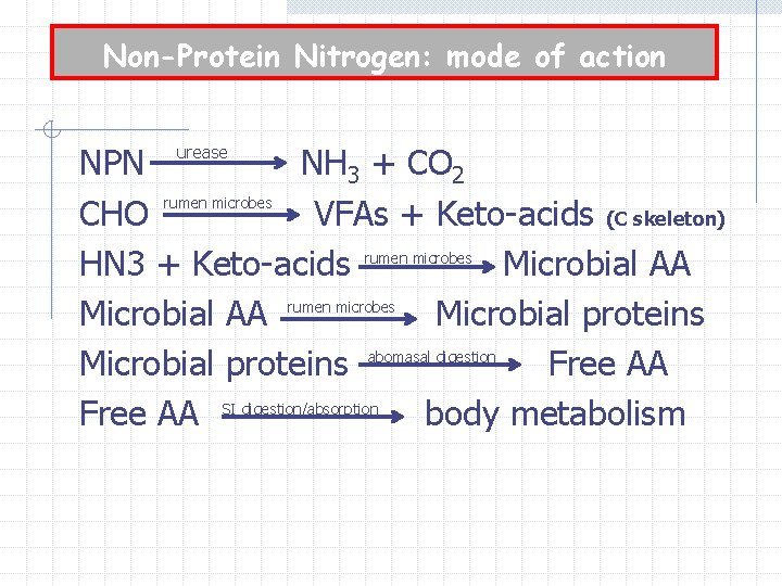 Non-Protein Nitrogen: mode of action NPN NH 3 + CO 2 rumen microbes CHO