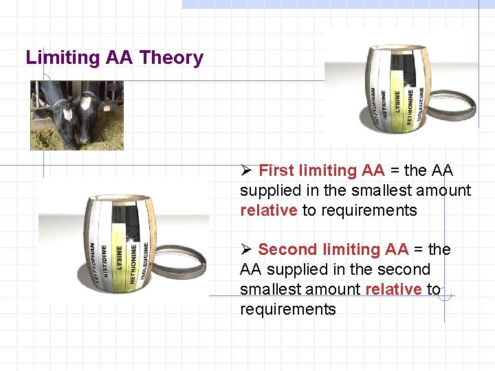 Limiting AA Theory Ø First limiting AA = the AA supplied in the smallest