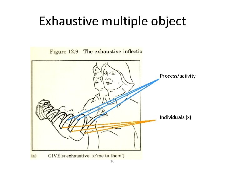 Exhaustive multiple object Process/activity Individuals (x) 16 