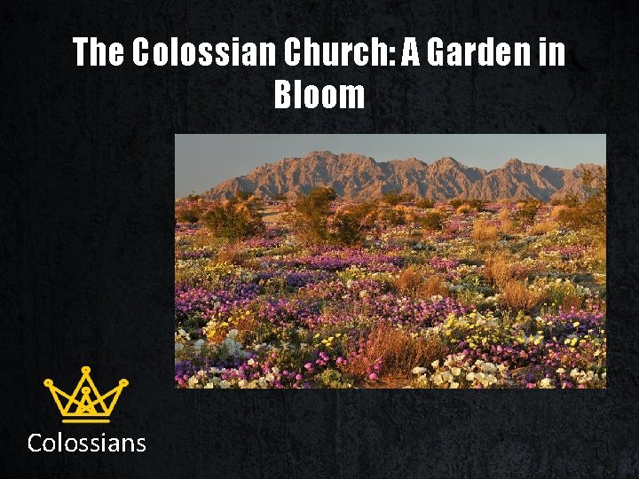 The Colossian Church: A Garden in Bloom Colossians 