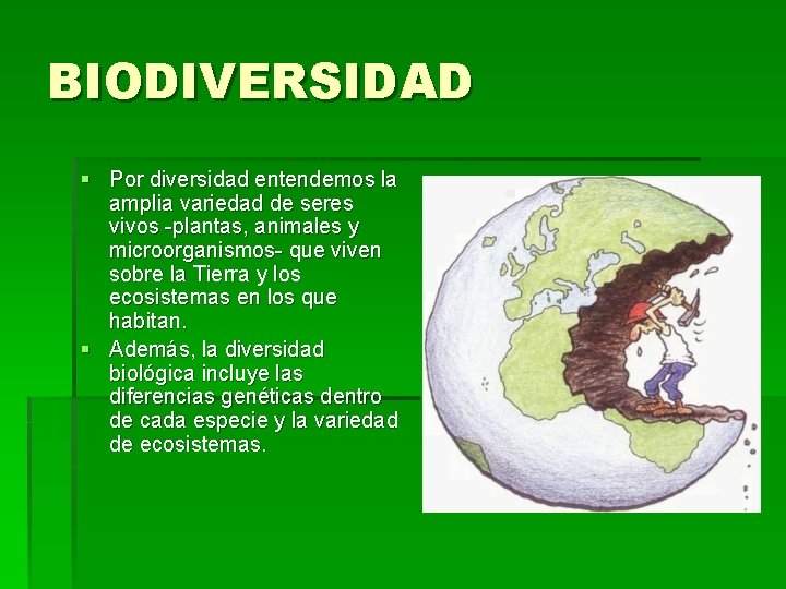 BIODIVERSIDAD § Por diversidad entendemos la amplia variedad de seres vivos -plantas, animales y