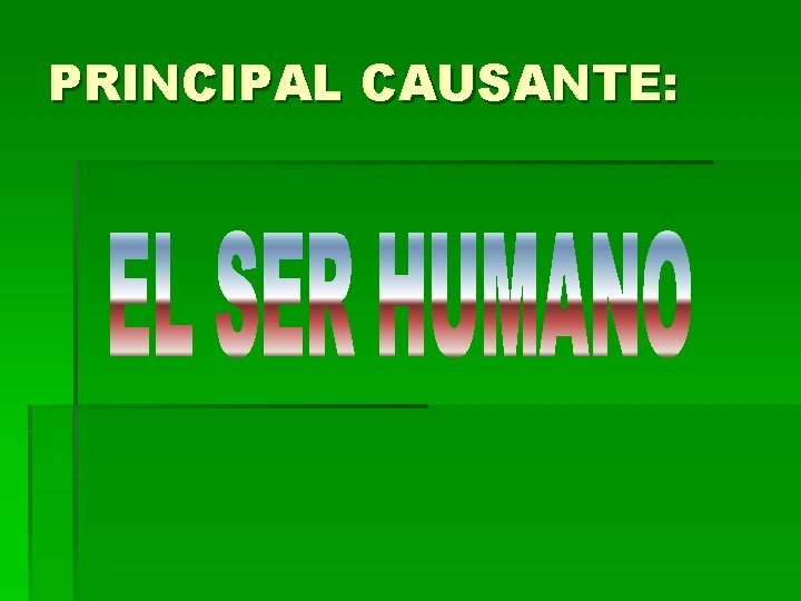 PRINCIPAL CAUSANTE: 