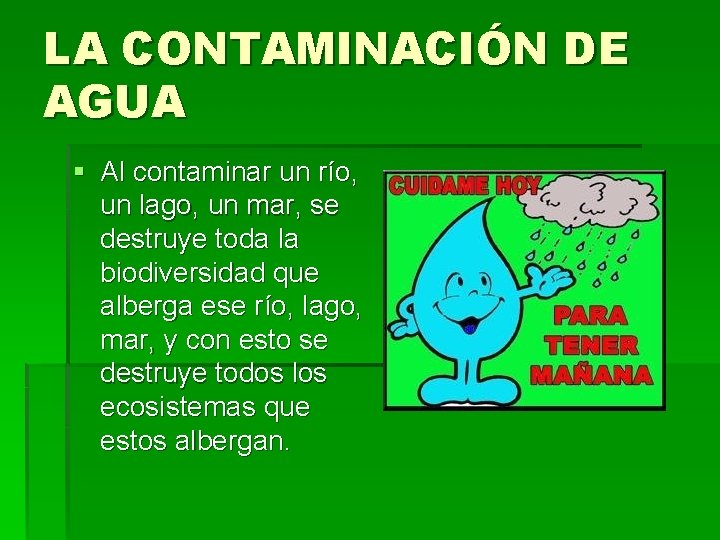 LA CONTAMINACIÓN DE AGUA § Al contaminar un río, un lago, un mar, se