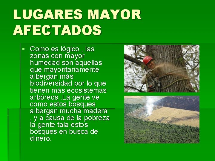 LUGARES MAYOR AFECTADOS § Como es lógico , las zonas con mayor humedad son